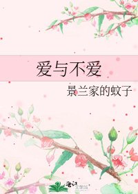 爱与不爱
