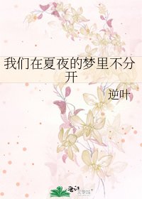 我们在夏夜的梦里不分开