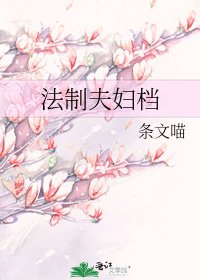 法制夫妇档