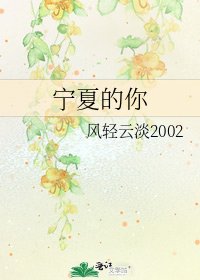 宁夏的你