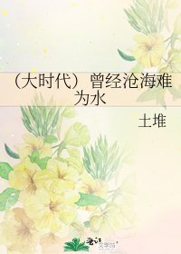 (大时代)曾经沧海难为水