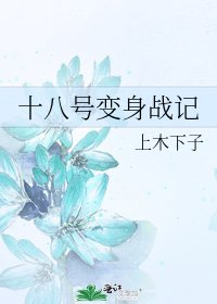 十八号变身战记