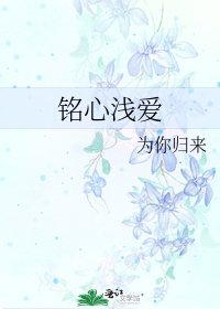 铭心浅爱