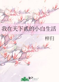 我在天下贰的小白生活