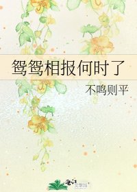 鸳鸳相报何时了
