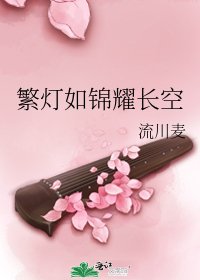 繁灯如锦耀长空