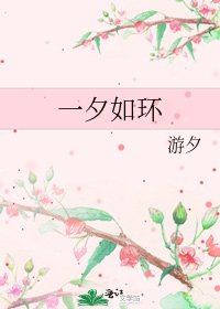 一夕如环