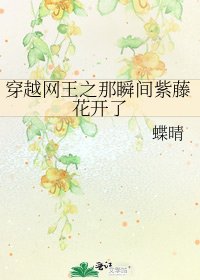 穿越网王之那瞬间紫藤花开了
