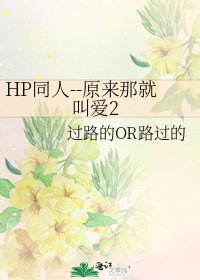 HP同人--原来那就叫爱2