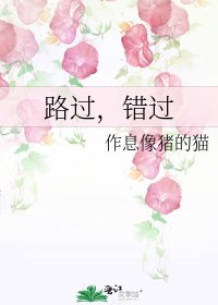 路过,错过