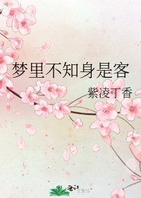 梦里不知身是客
