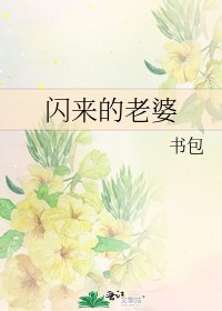 闪来的老婆