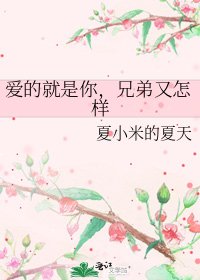 爱的就是你,兄弟又怎样