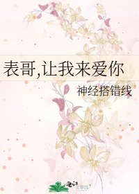 表哥,让我来爱你