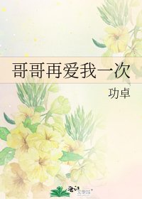 哥哥再爱我一次