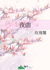 夜曲