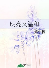 明亮又温和