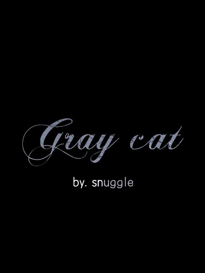 Gray cat