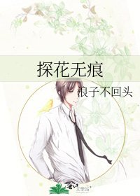 探花无痕