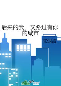 后来的我,又路过有你的城市