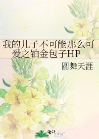 我的儿子不可能那么可爱之铂金包子HP