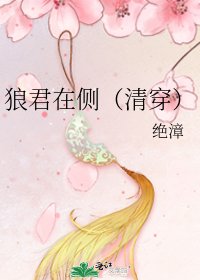 狼君在侧(清穿)