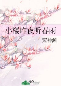 小楼昨夜听春雨