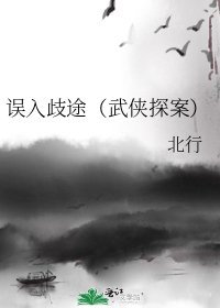 误入歧途(武侠探案)