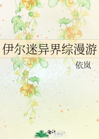 伊尔迷异界综漫游
