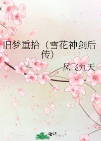 旧梦重拾(雪花神剑后传)