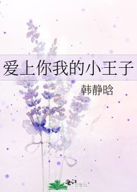 爱上你我的小王子