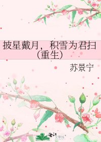 披星戴月,积雪为君扫(重生)