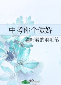 中考你个傲娇