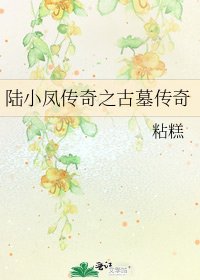 陆小凤传奇之古墓传奇