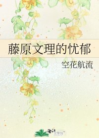藤原文理的忧郁
