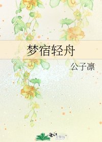梦宿轻舟