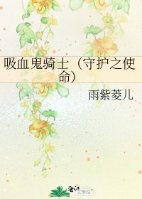 吸血鬼骑士(守护之使命)
