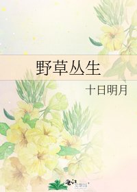 野草丛生
