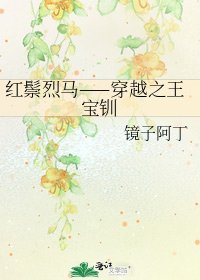 红鬃烈马——穿越之王宝钏