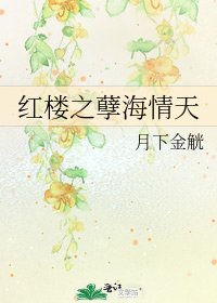 红楼之孽海情天