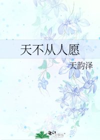 天不从人愿