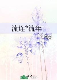 流连*流年