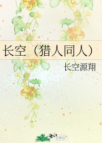 长空(猎人同人)