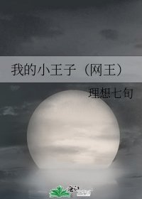 我的小王子(网王)