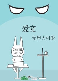 爱宠