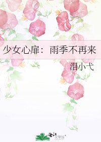 少女心扉:雨季不再来