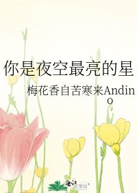 你是夜空最亮的星