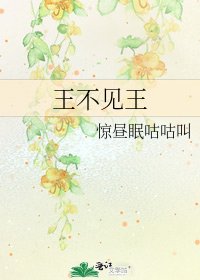王不见王
