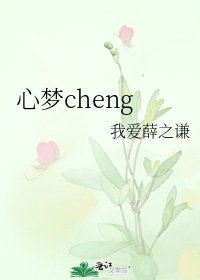 心梦cheng