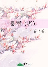 暴雨(者)